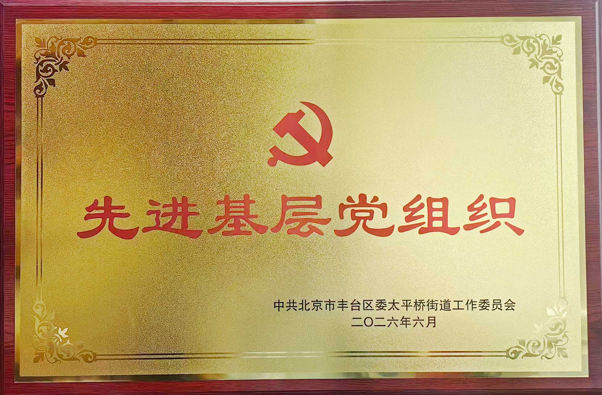 喜报｜党建引领践初心 载誉前行庆华诞——尊龙凯时app平台官网-（中国）有限责任公司招标集团党支部获评辖区“优秀基层党组织”